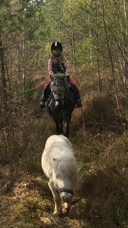 Budkavleritten 2020 - Polly och korsningsponnyn Docer
