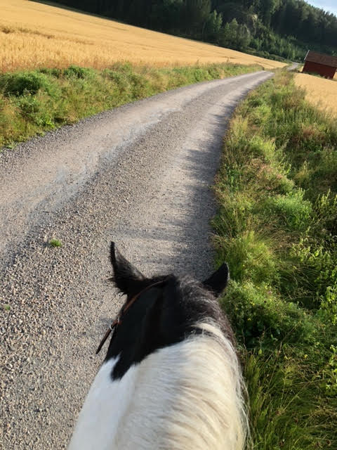 Apple Jack ute på ridtur i del 3