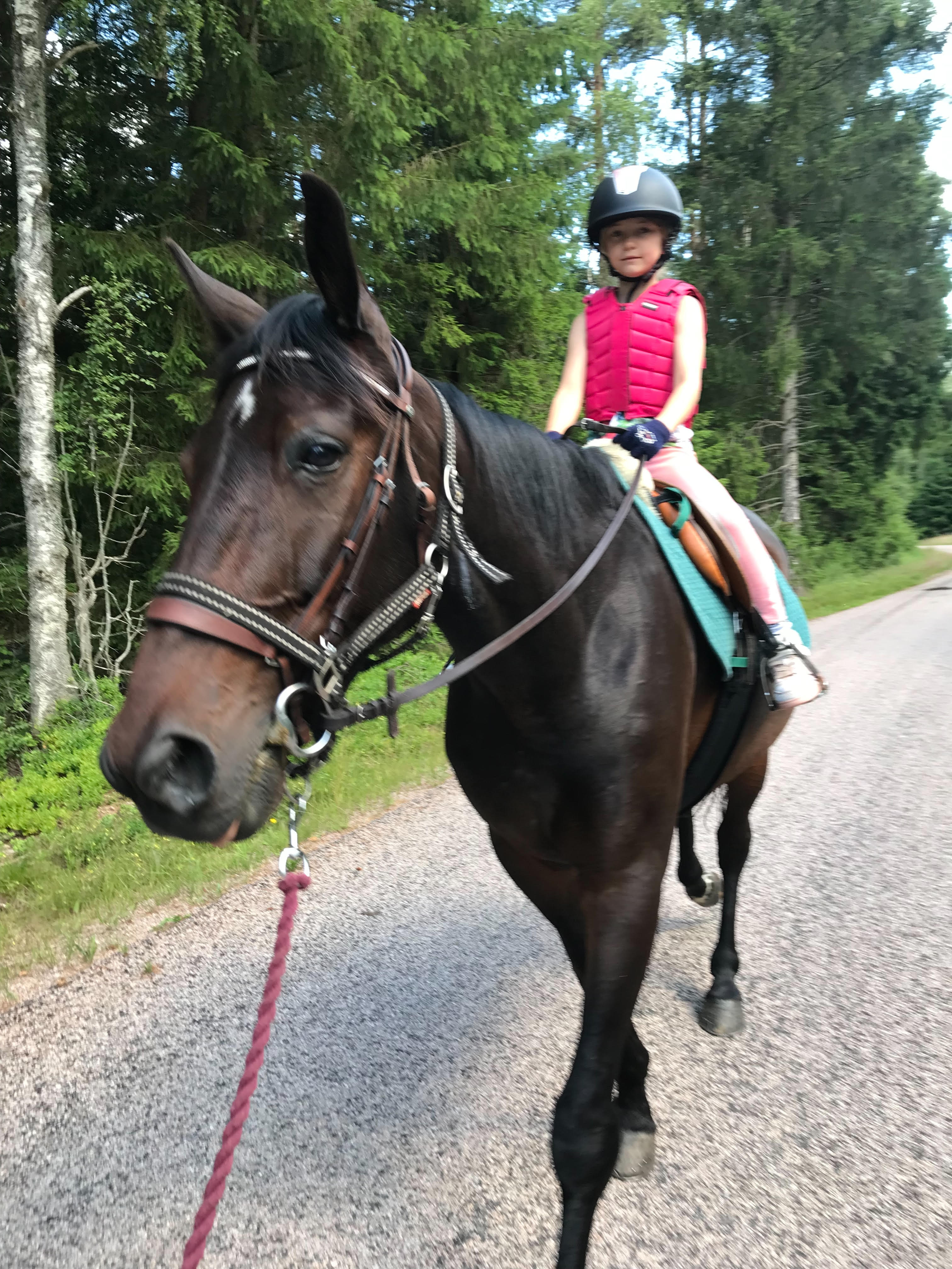 Astrid Karlsson som rider på Quantum Amos varmblodstravare