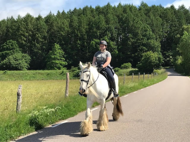 Budkavleritten 2020 - Clogheen Chi II Tinker