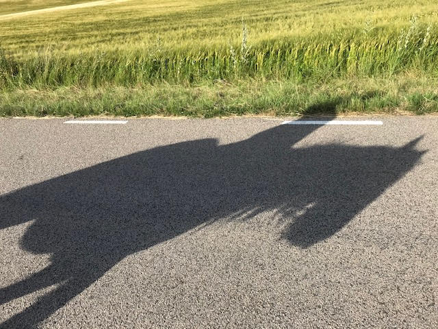 Budkavleritten 2020 - Clogheen Chi II