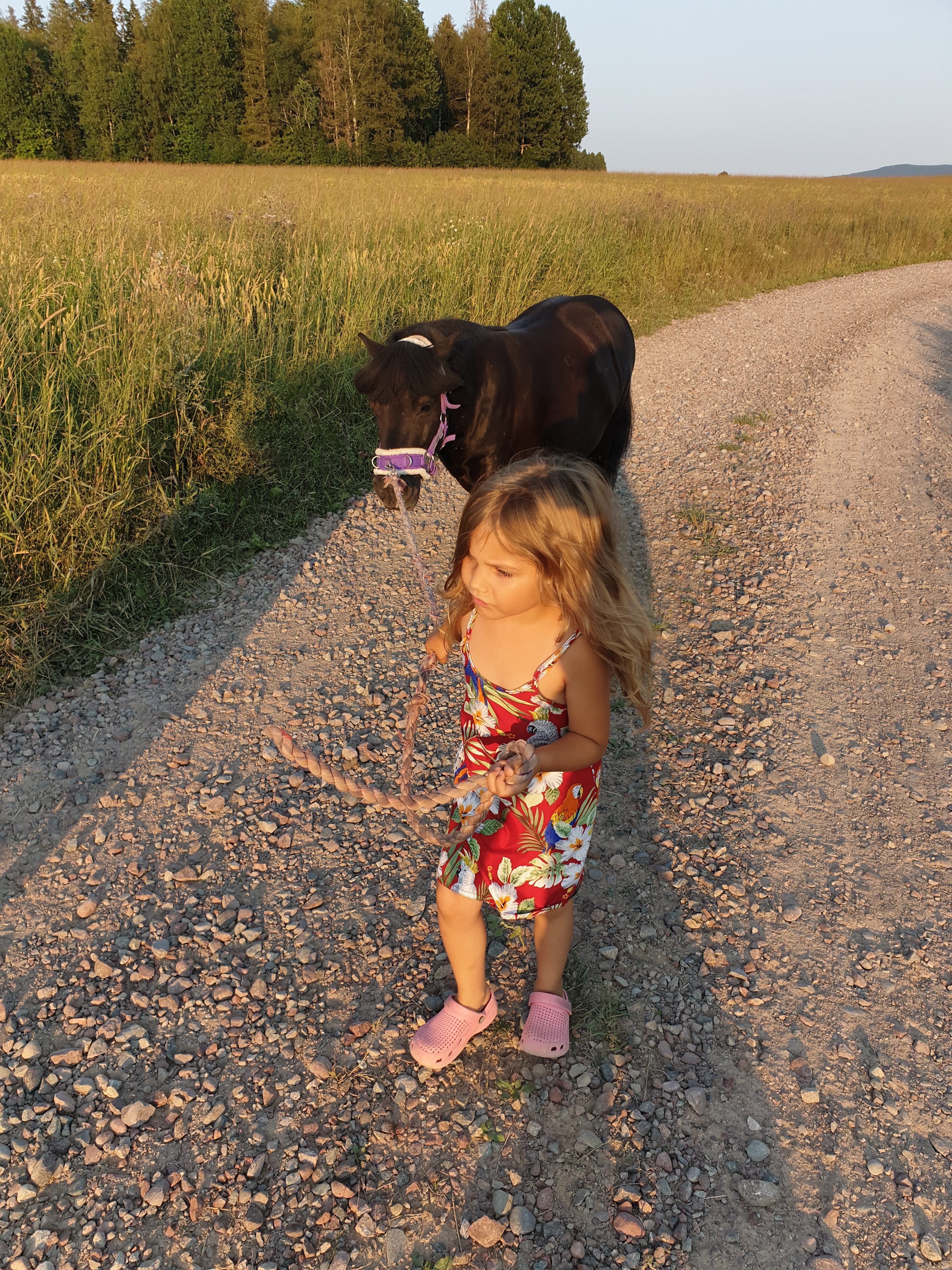 Elvira 5 år och Shetlandsponnyn Lukas