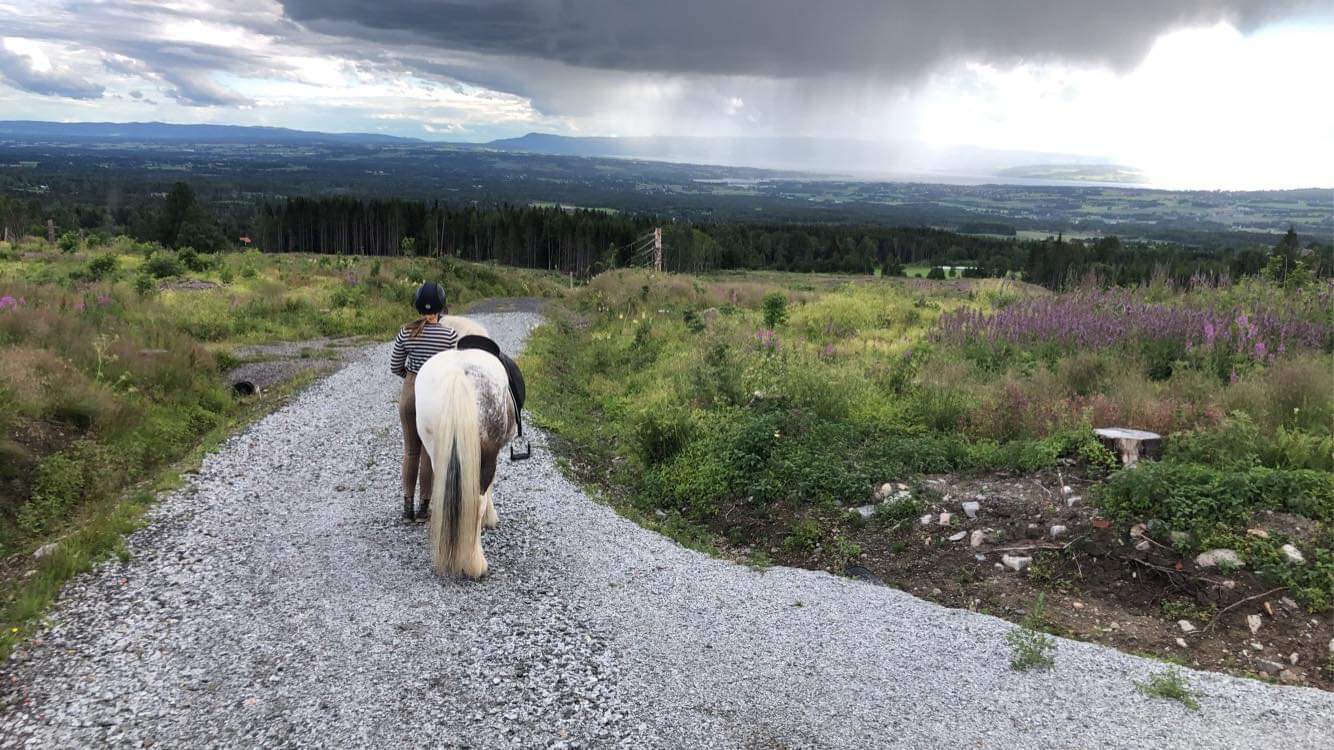 Budkavleritten 2020 - Mari tillsammans med Wicklow Pepsi, Norge