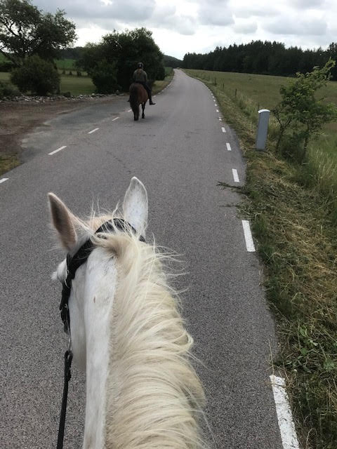 Budkavleritten 2020 - Maria och Amelie