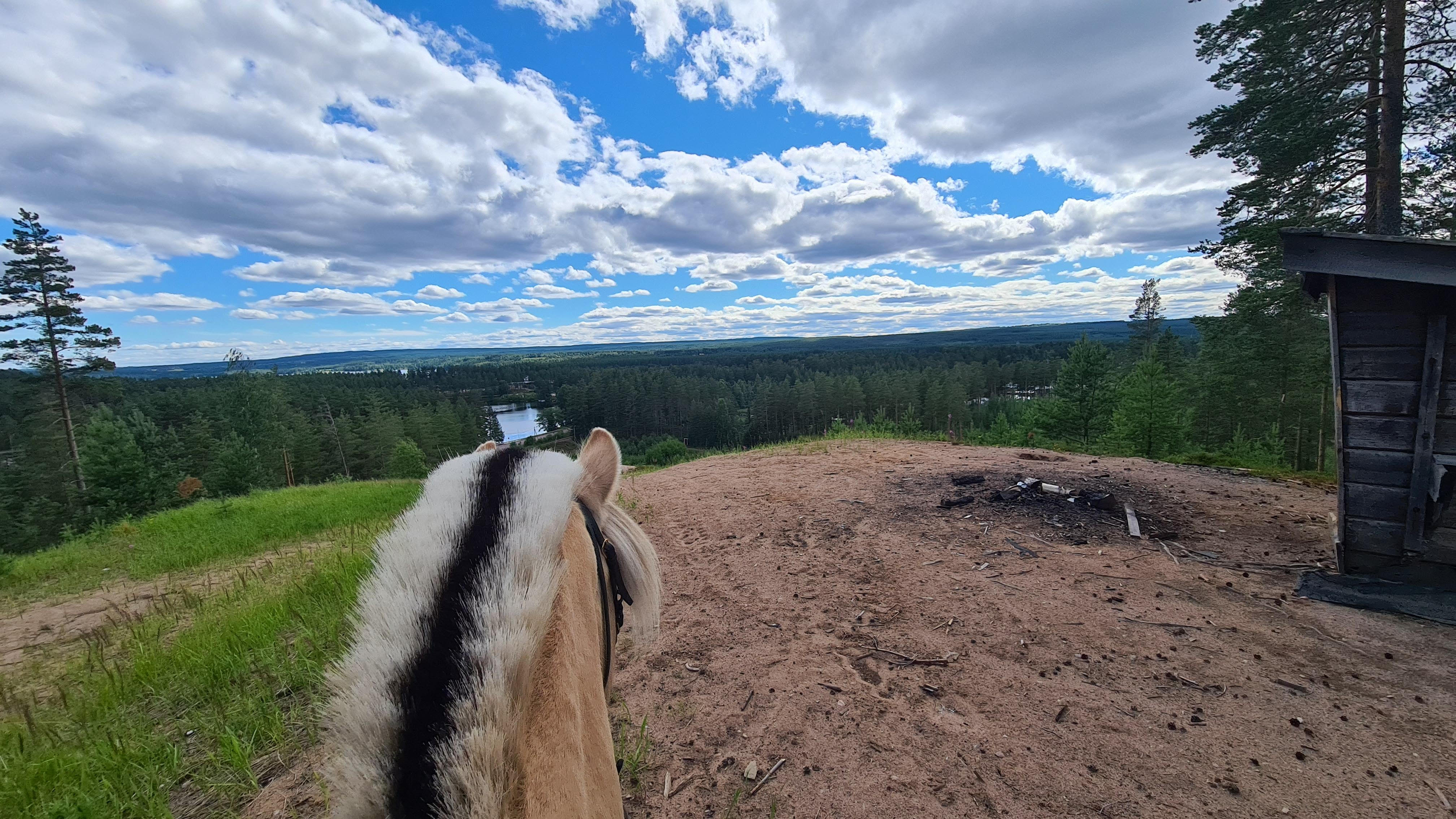 Budkavleritten 2020 - Pärlby Kavat 14km