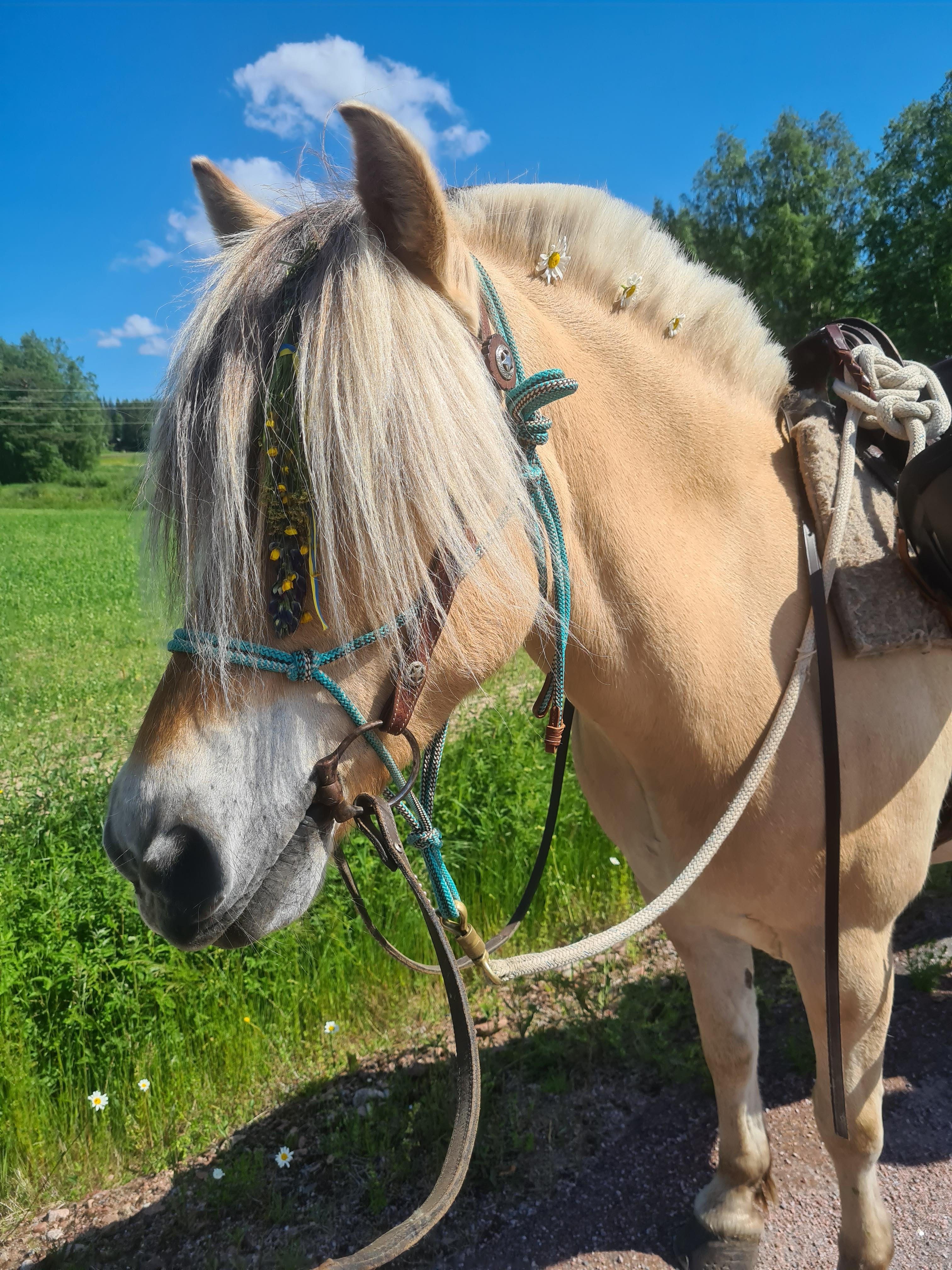 Budkavleritten 2020 - Pärlby Kavat
