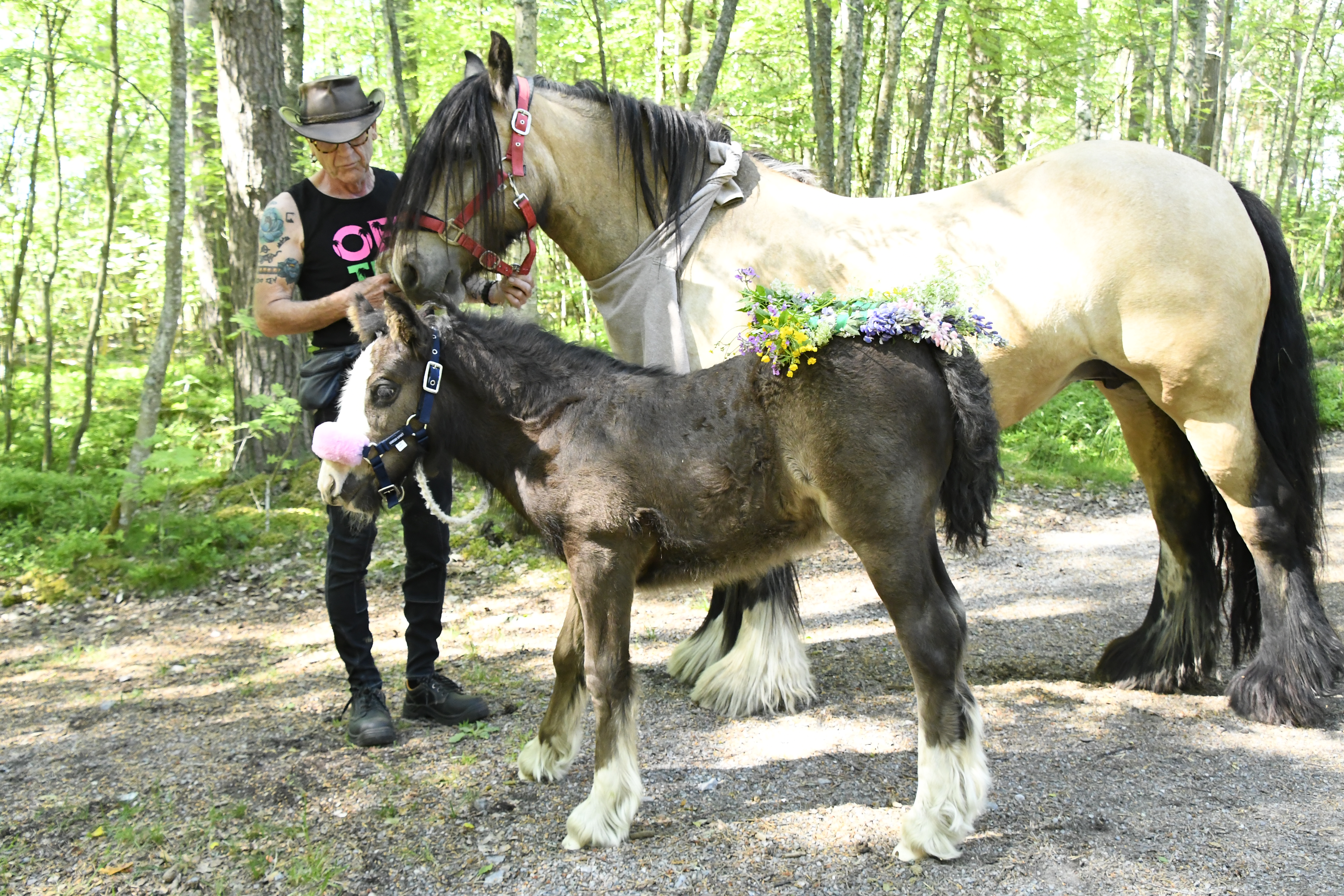 Budkavleritten 2020 - Richard och Hermits Velvet Silk och Little Big Garbo