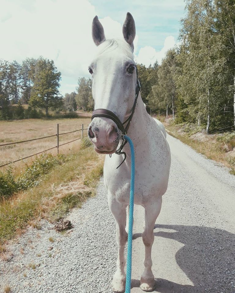 Budkavleritten 2020 - Rivendale Old Keaper