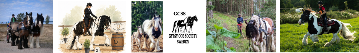 Gypsy Cob Society Sweden
